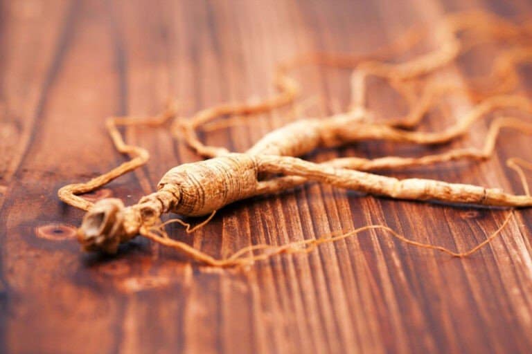 Ginseng un trésor médicinal millénaire et composant du patch quantique
