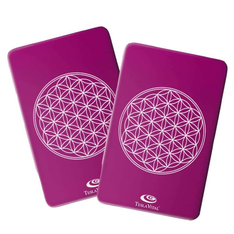 Promo 2 plaques Tesla fleur de vie